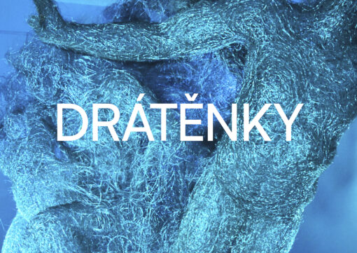 Drátěnky – edukačně výtvarný program pro ZŠ a SŠ
